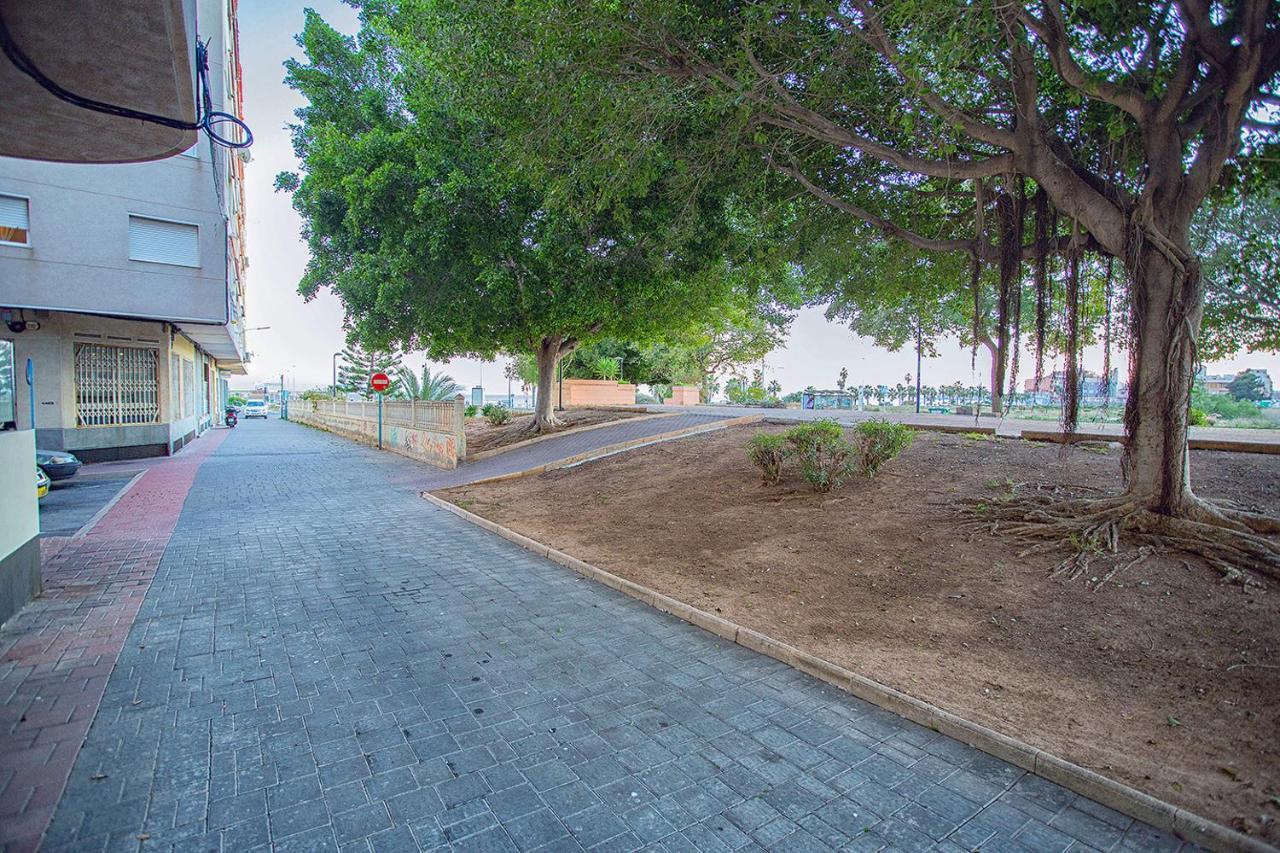 113 Beach And Trees - Alicante Holiday Torrevieja Exterior photo